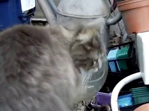 Balkan & Coulis -puits-