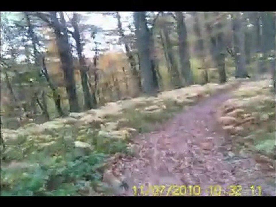 Vtt071110Live
