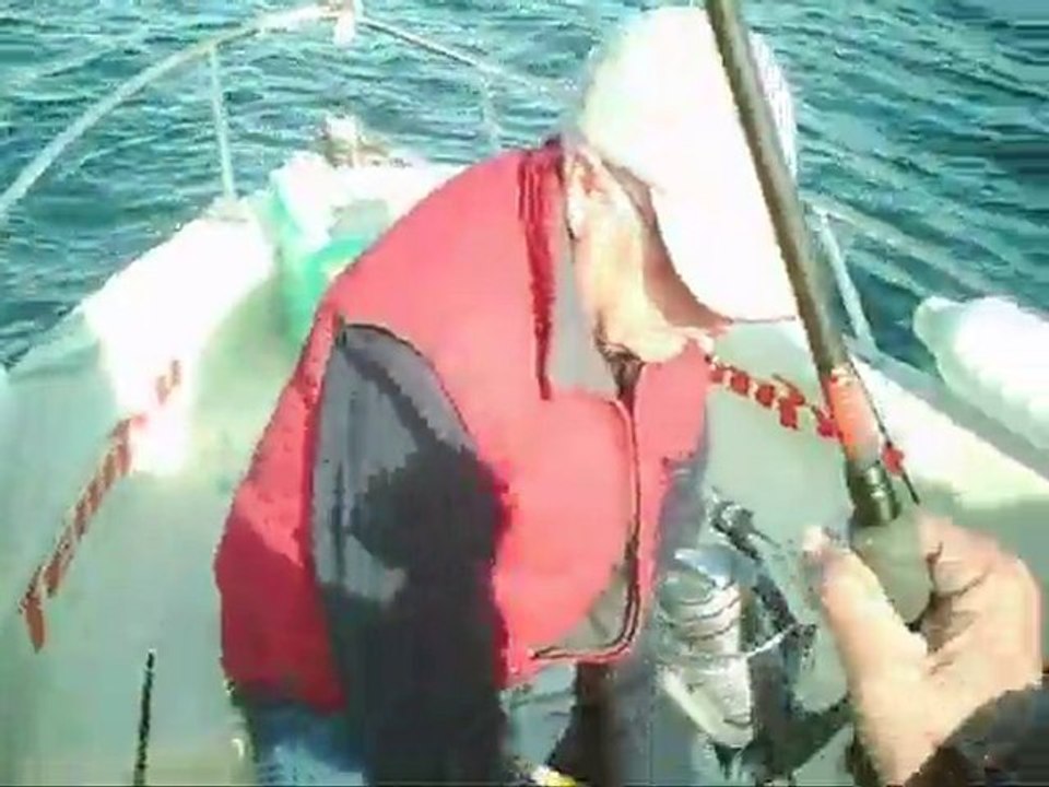 LE LOUP BAR Pêche gros bars  4,5 et 6 kg