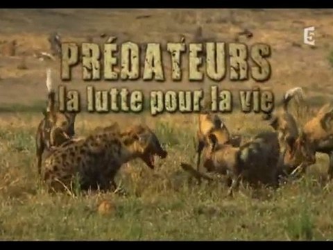 predateurs, la lutte pour la vie (1)