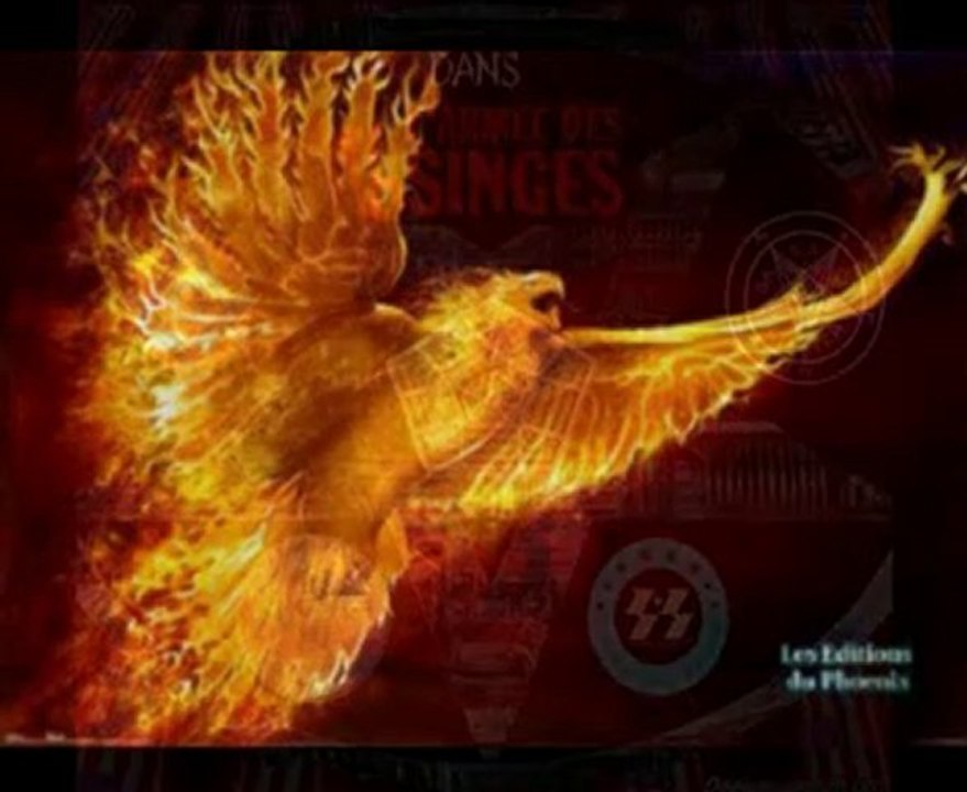 Le Paradis des Banksters: Le Film