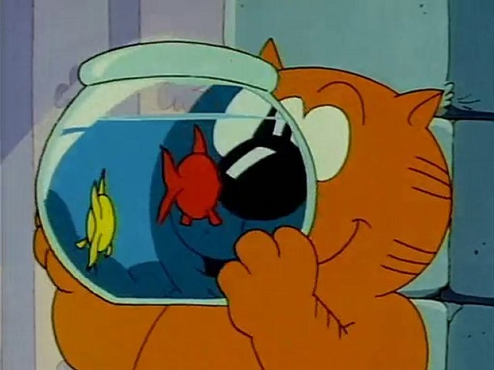 Pet Tips - Take Care of Fish