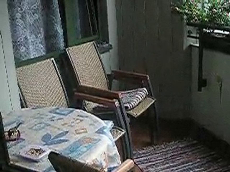 Meisen auf meiner Loggia