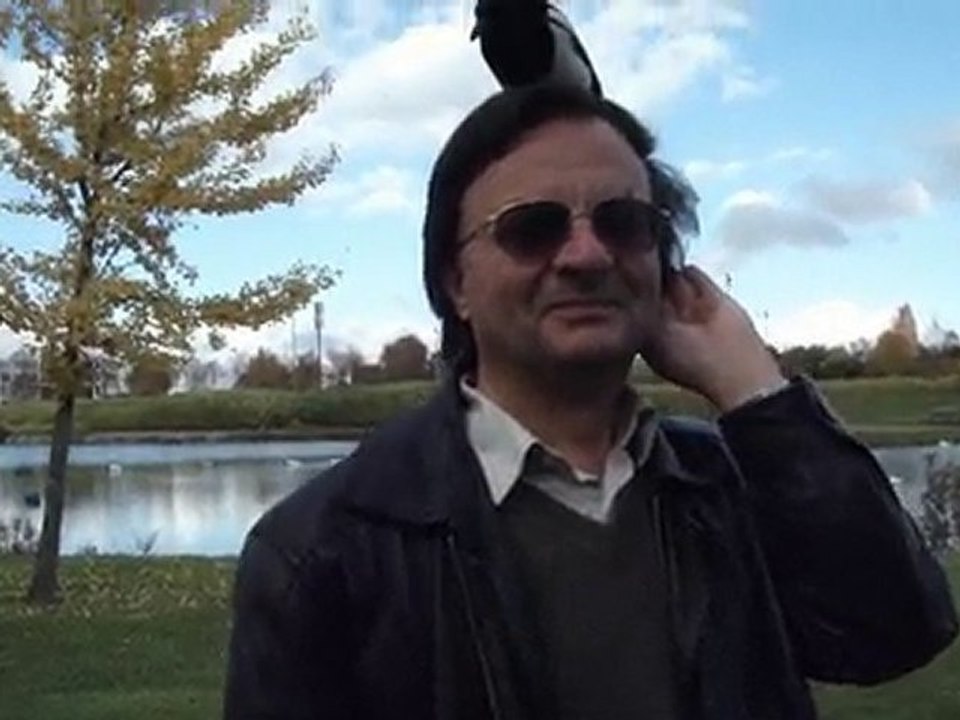 Une pie fait son nid dans les cheveux 3