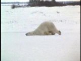 Arrivée au boulot le lundi matin