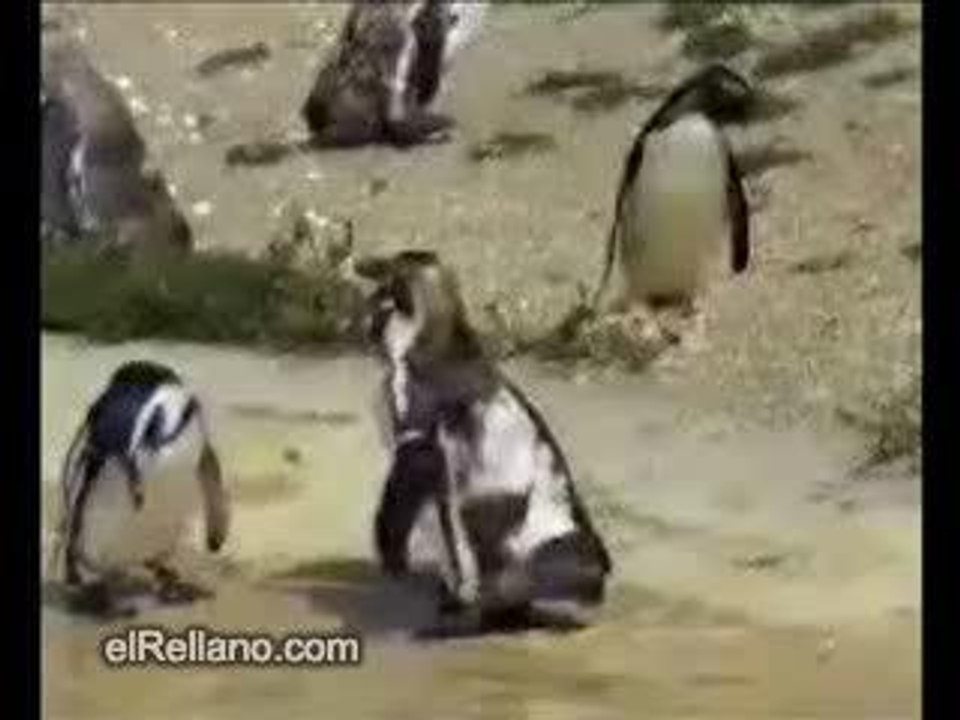 Départ du boulot le vendredi soir!!