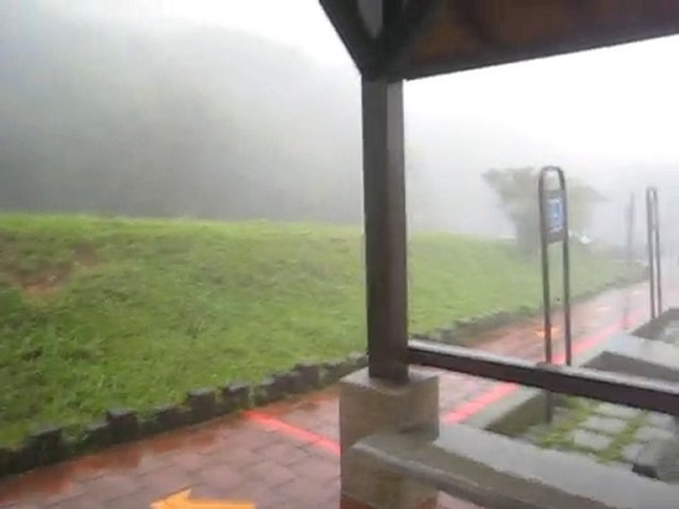 Heavy rain in Yangmingshan