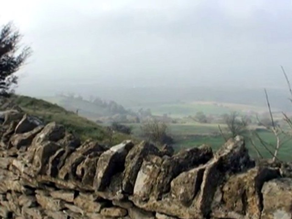 Hilary James 'In Summertime On Bredon'