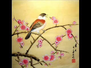 Dailymotion - Gentil coquelicot - une vidéo Musique