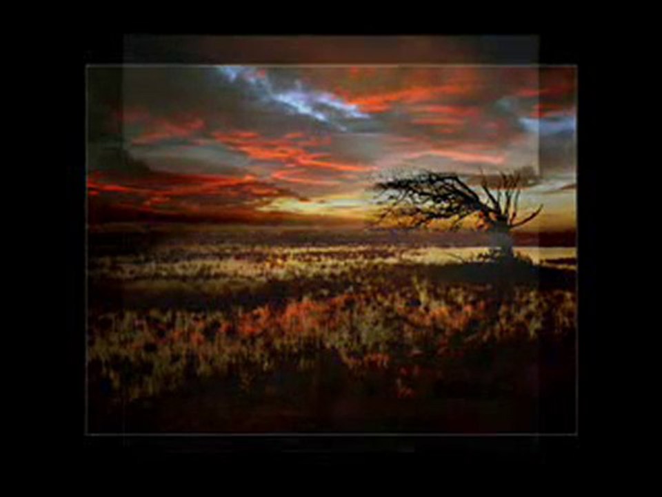 kazım koyuncu-anılar düştü peşime