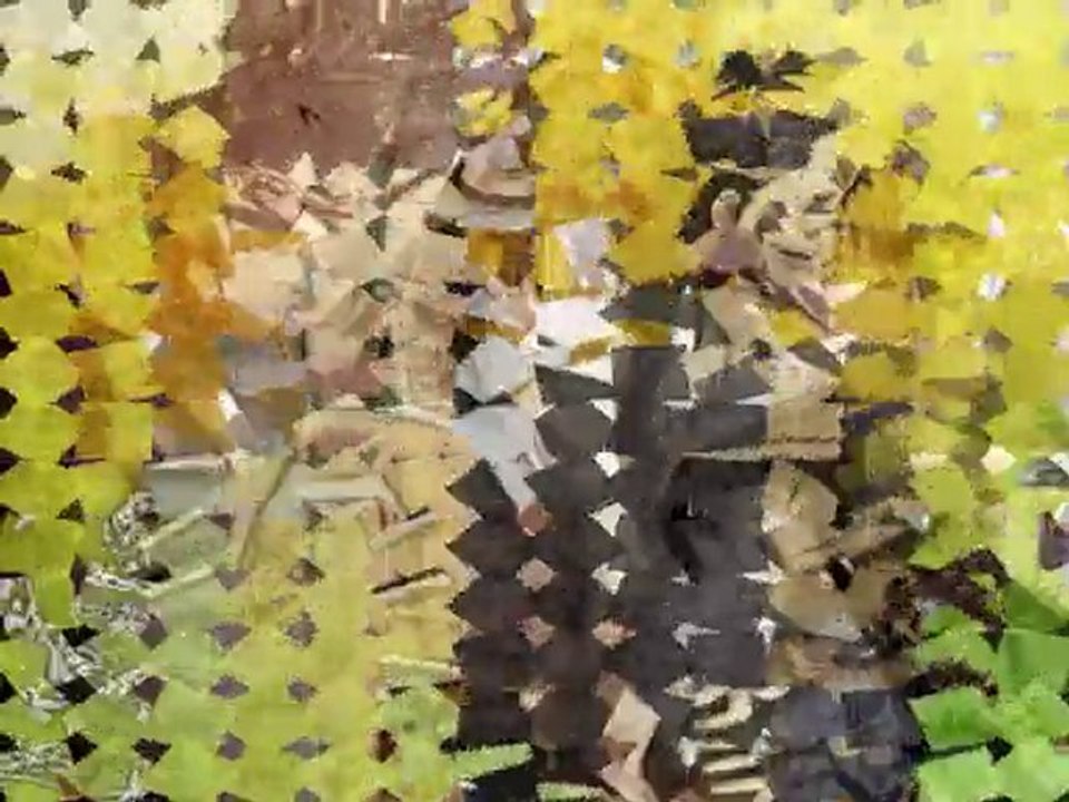 AMV - Hakuouki - Shinsengumi Kitan