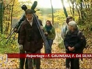 Rando Nature : le Lac du Mervent (Vendée)