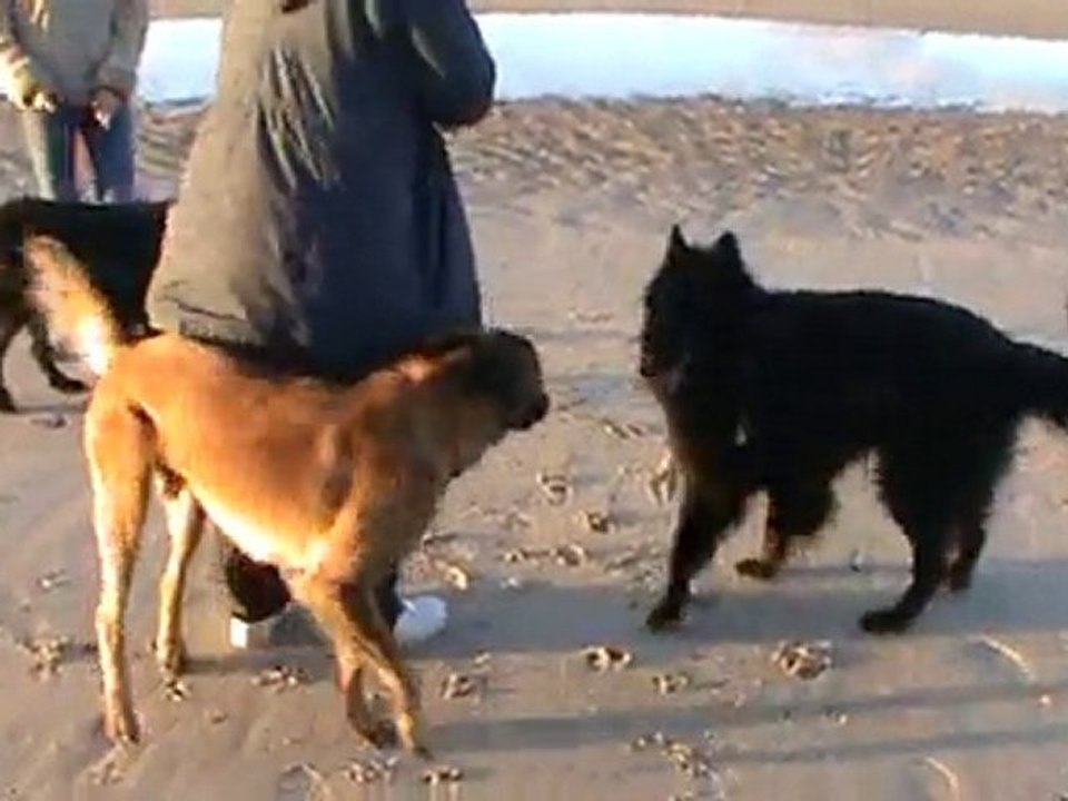 20101025181127