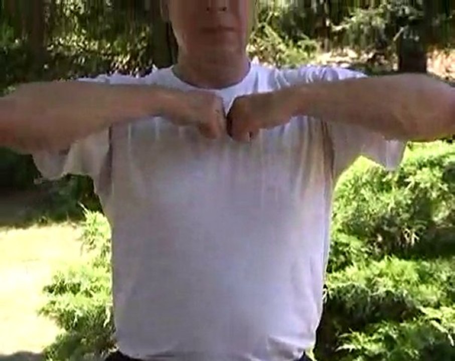 Deuxième brocart de soie