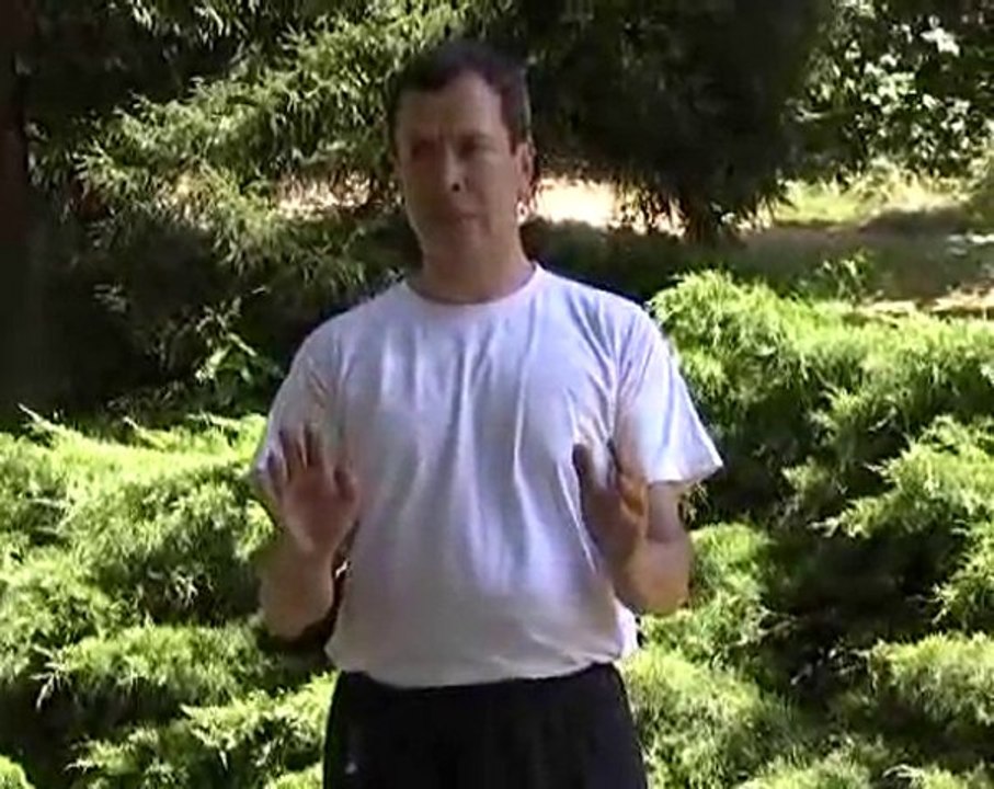 Quatrième brocart de soie