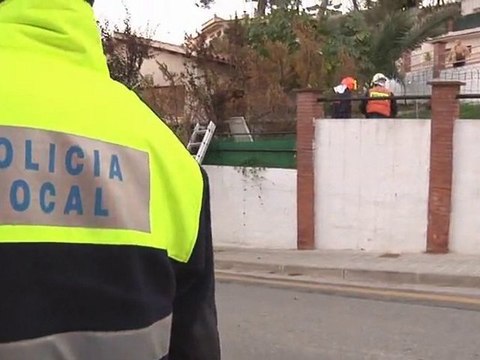 101110 arbre caigut a la colinia el palau