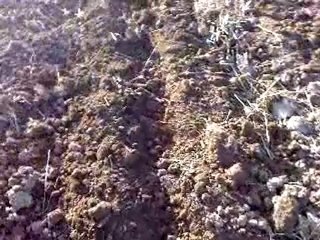 tümosan 60 60 11 li kazayağı ile 2