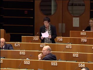 Sarah Ludford on EU-US Data Protection Agreement