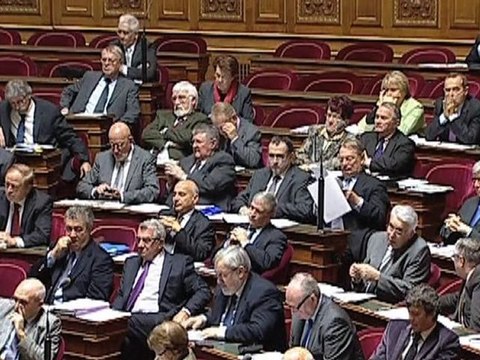 Collectivités locales : la réforme adoptée de justesse