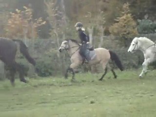 Ponette au galop
