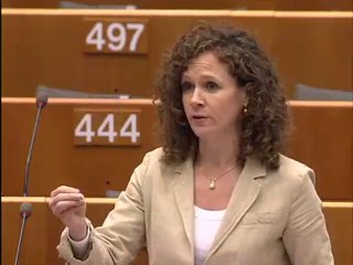 Sophia in 't Veld on Passenger Name Record (PNR)