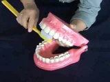 Comment se brosser les dents