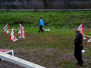 MIRKO conours d'entrainement