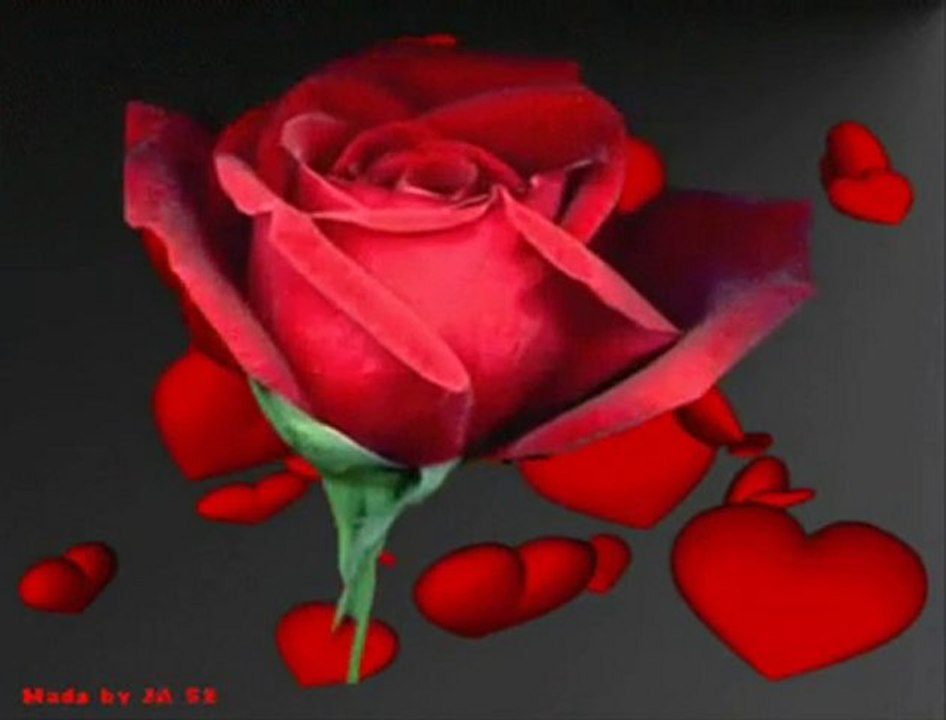 ZERRIN OZER SON MEKTUP