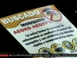 Argentina, Bolivia, Brasil y Paraguay en alerta ante aumento de casos de dengue