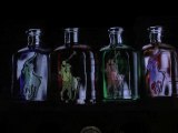 Big Pony Fragrance Collection in 4-D Ralph Lauren Light Show