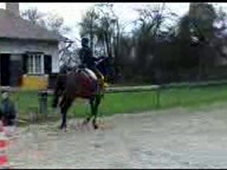 Baron : 5ème séance initiation garrocha