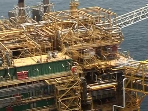 Le Journal vidéo du jeudi 11 novembre 2010, édition de 12H00.