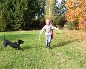 Inception Batman parodie