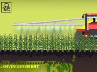 OGM expliqué par Greenpeace