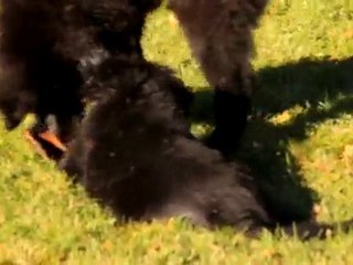 Per-David & Lille Bengt 3 months