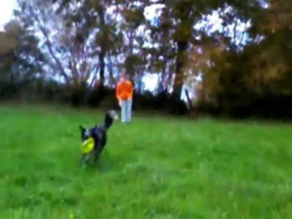 frisbee court