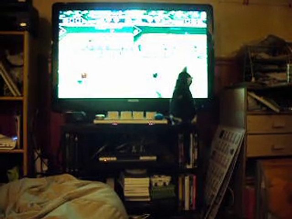 fantomette et la wii