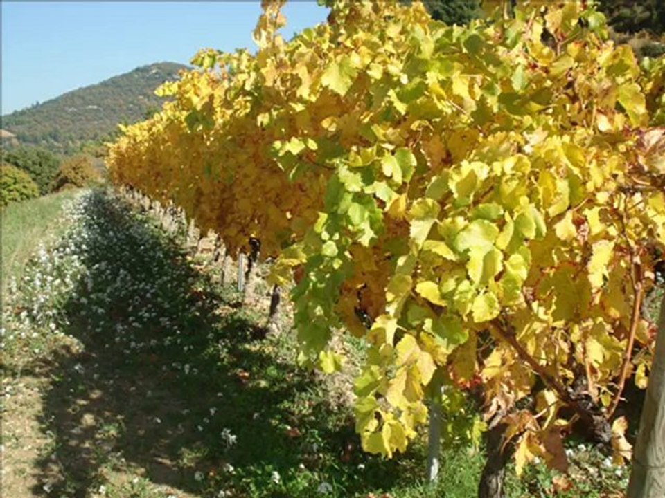 Velorgues novembre 2010