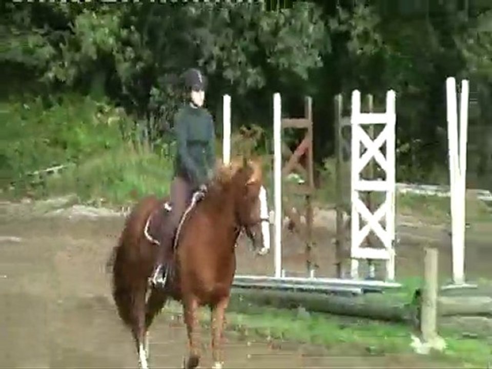 shougar ex d.dhenin oct 10