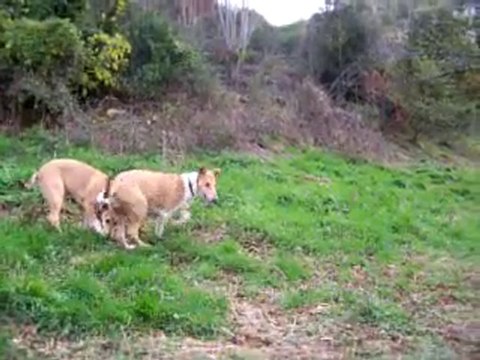 11/11/10: Un grain de folie chez les Grains de Sable :-))