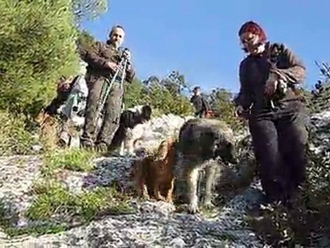 Rando à Robion(1) -Forum