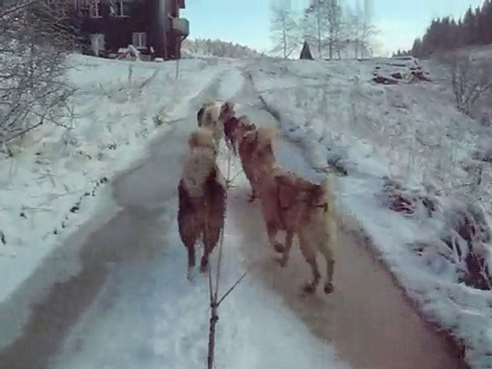 attelage de groenlandais sur neige en quad