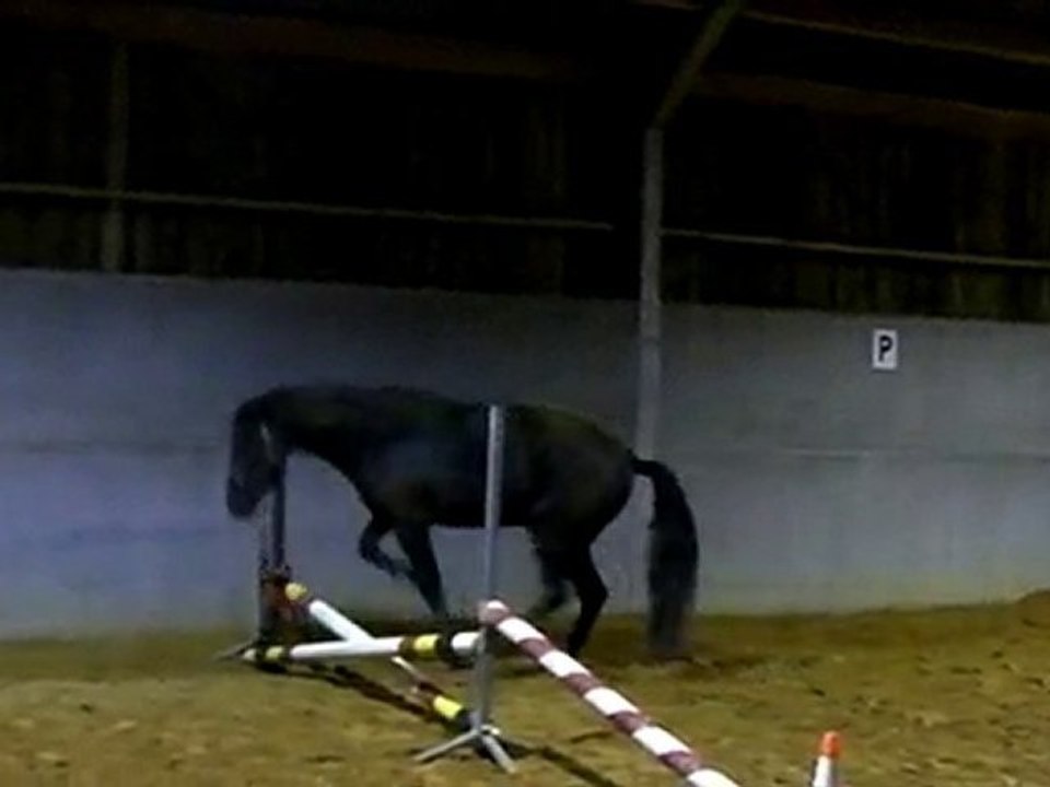 Ulys saut 1
