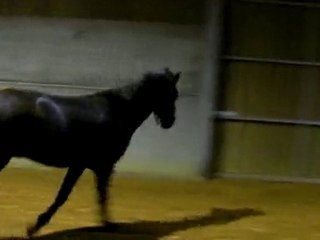 Ulys saut 3