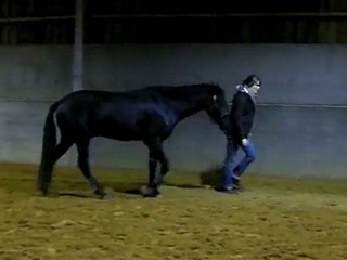Ulys suit saut 1