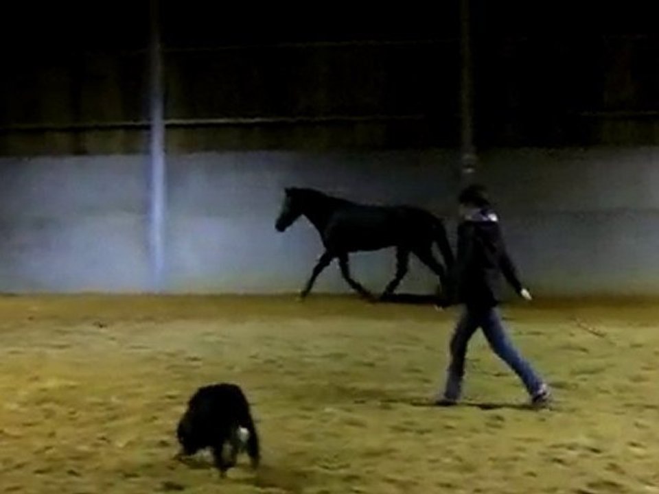 Ulys saut 6