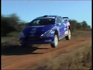 essai jean-luc et pascale morel