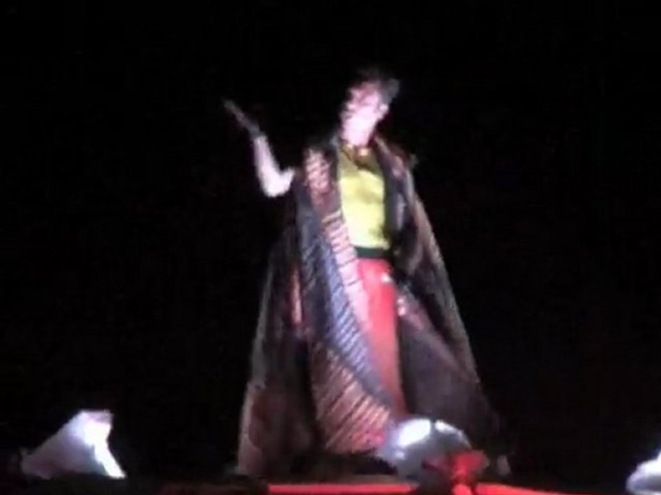 FEU DARTIFICE 13 JUILLET 2011