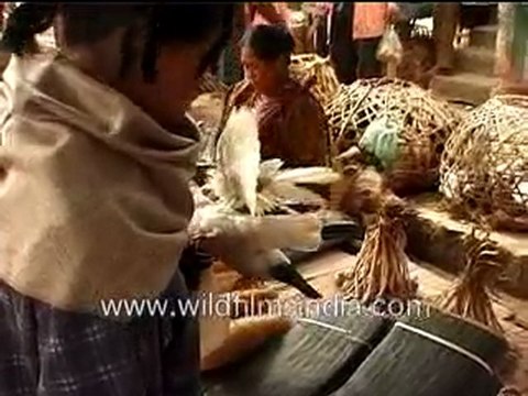 Birds being sold in an open market in Nagaland
