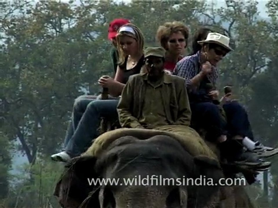 Elephant ride in Corbett National Park